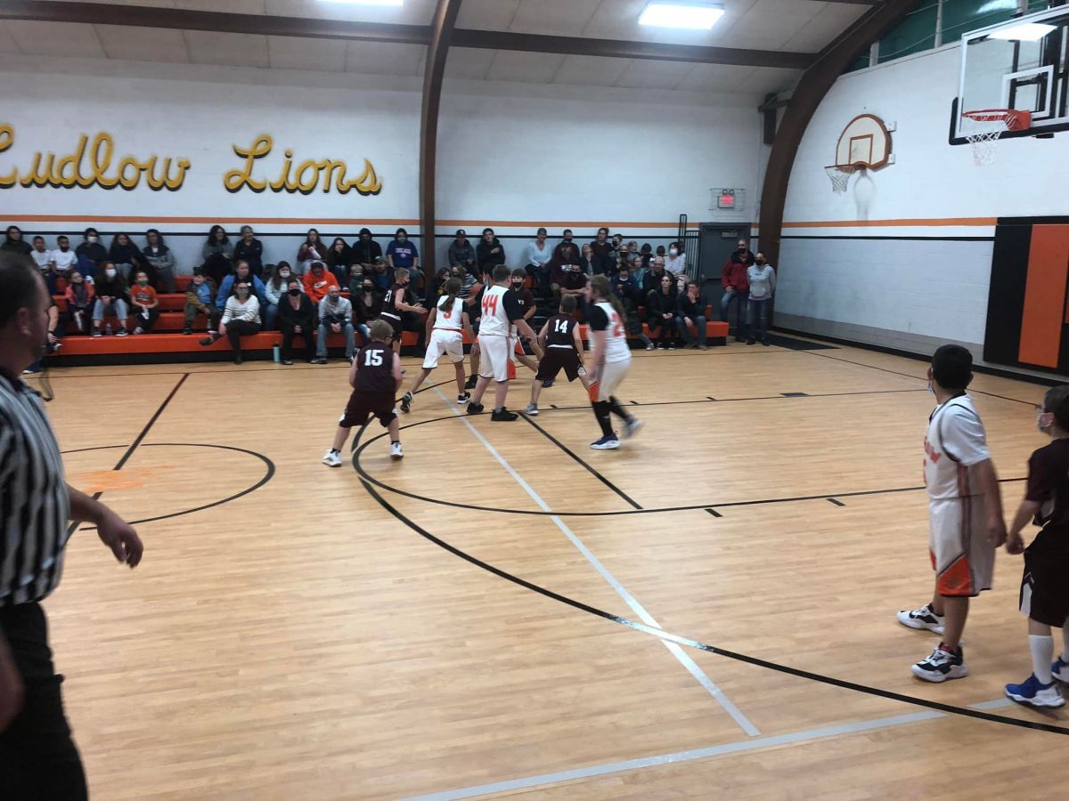 Ludlow boys basketball - going for the ball at a basketball game.